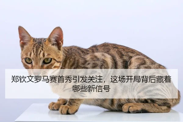 郑钦文罗马赛首秀引发关注，这场开局背后藏着哪些新信号