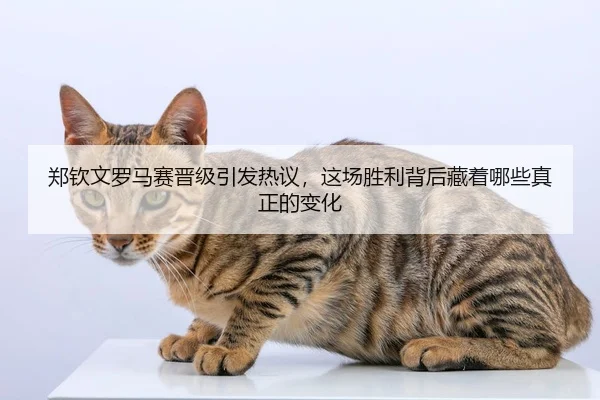 郑钦文罗马赛晋级引发热议，这场胜利背后藏着哪些真正的变化